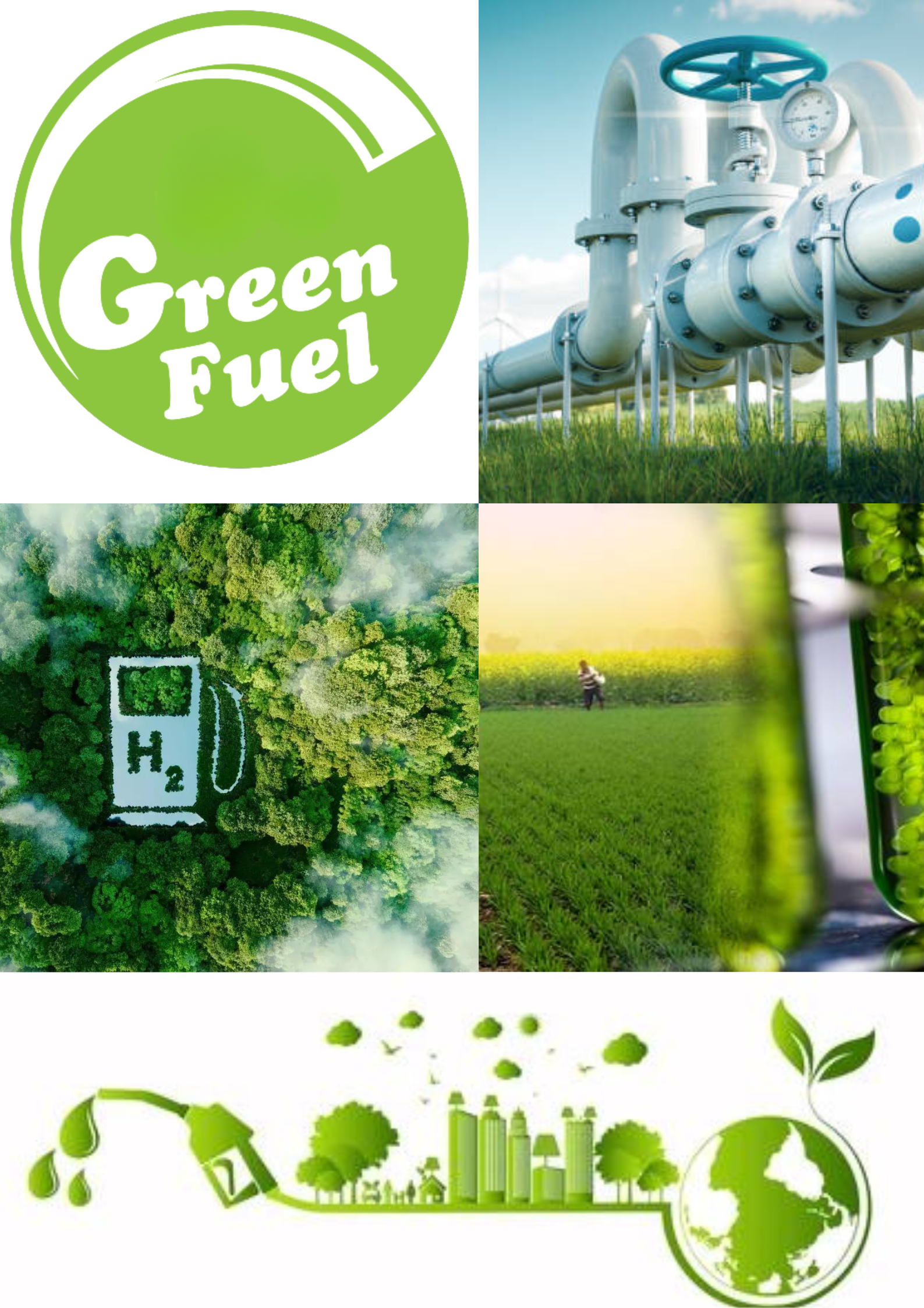 Green Fuels Initiative